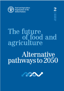 The future of food and agriculture. Alternative pathways to 2050