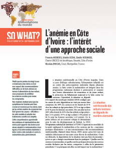 N° 1/ L’anémie en Côte d’Ivoire : l’intérêt d’une approche sociale