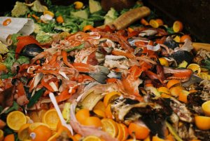 Pourquoi faudrait-il lutter contre le gaspillage alimentaire ? (Nicolas Bricas)