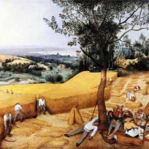 illustrtation rubrique : Colloque 2023 - Au travail&nbsp;! 