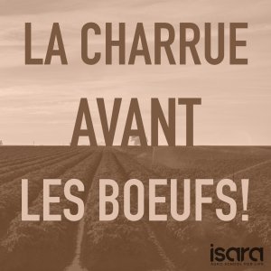 illustrtation article : La Charrue avant les boeufs&nbsp;!