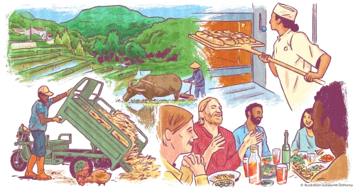 Durabilité des systèmes alimentaires